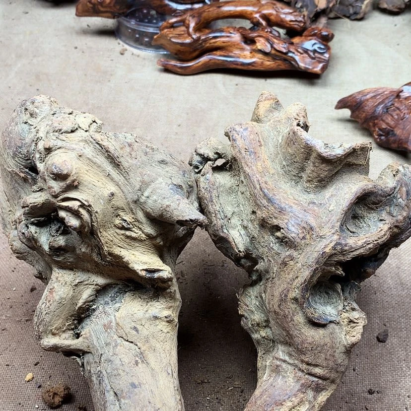 【闪购商品】黄花梨/降香黄檀阿***贝原材料供应充足