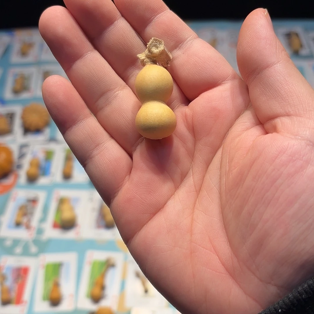 盛***夏哈哈哈哈哈哈哈哈哈