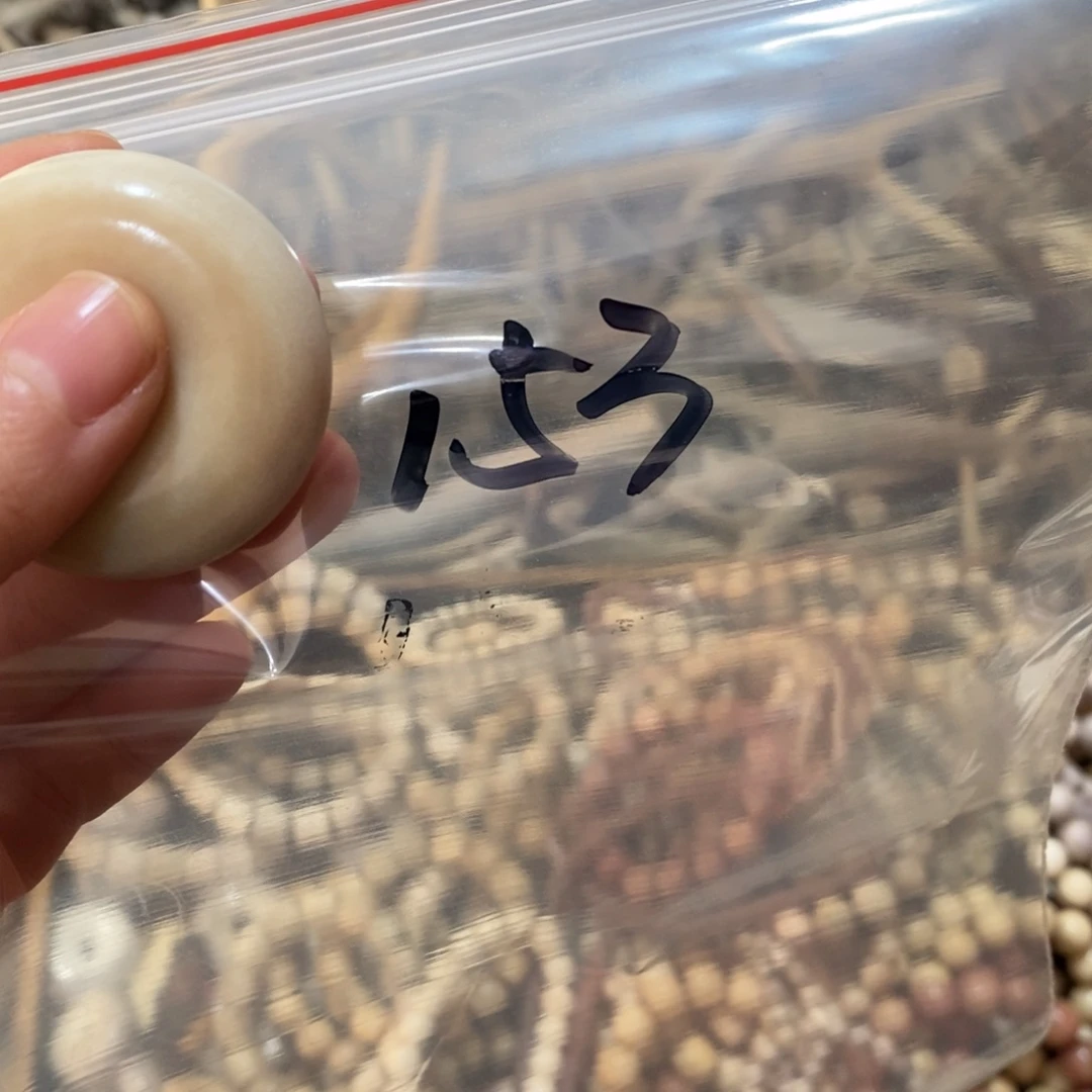 用***4非金属鹿角鹿角鹿角