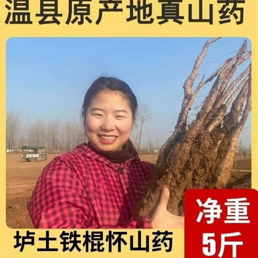 温县垆土铁棍山药新鲜现挖软糯香甜怀山药