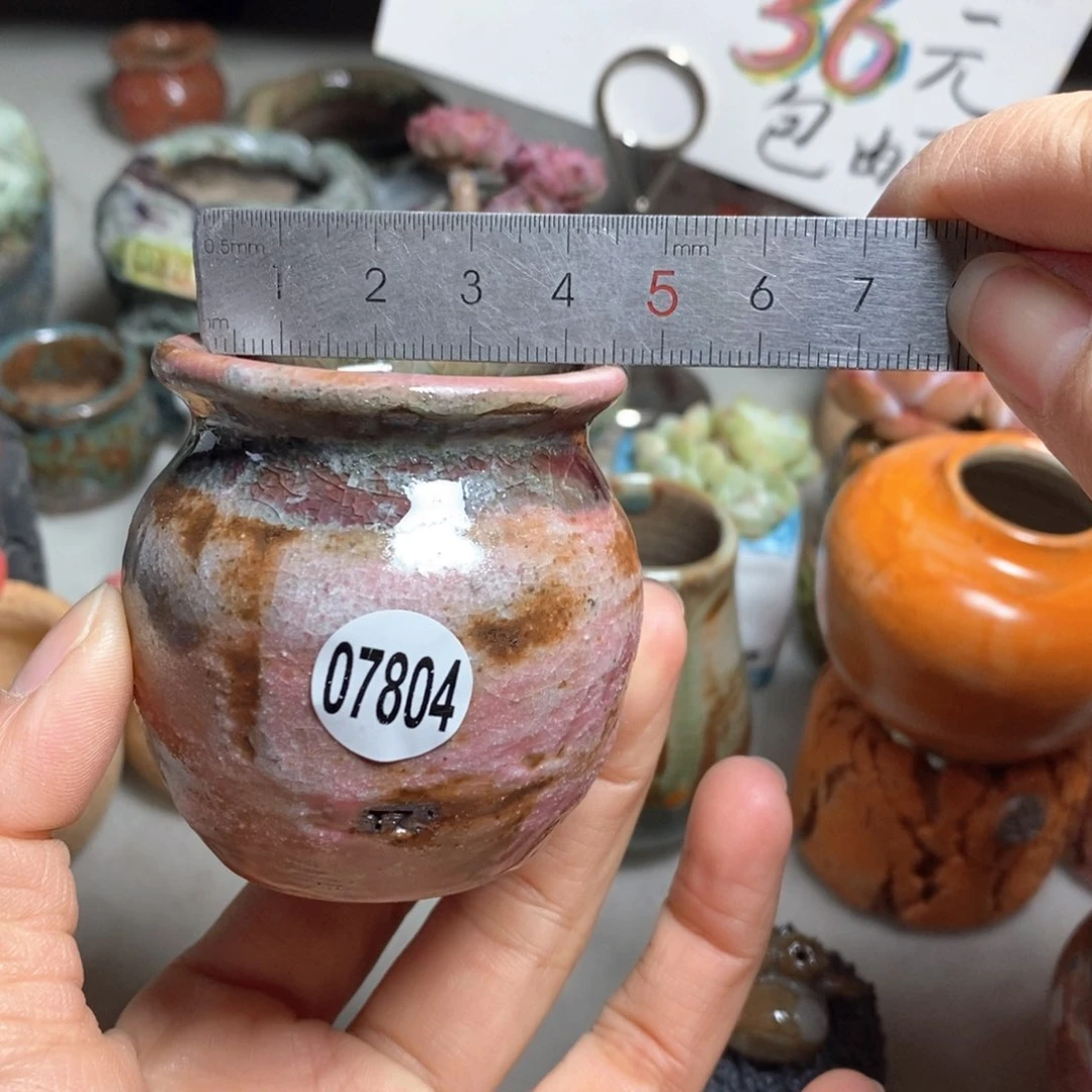 花盆拍3送一个小礼物