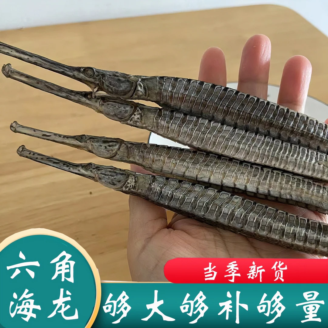 六角海龙正宗野生海龙无硫干货浸酒煲汤滋补原料大海龙可搭枸杞