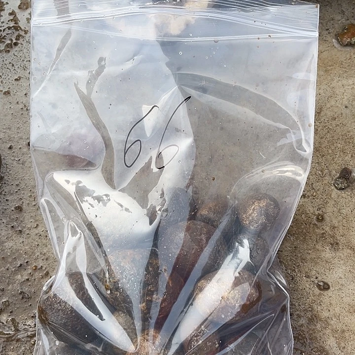 玛瑙/玉髓手链未镶嵌