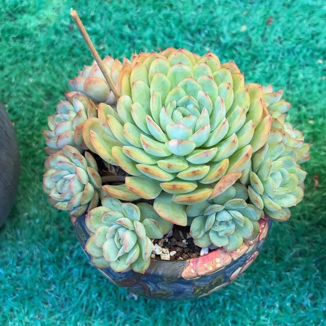 ，，，，，，，，，，，，，，，，，，，，，，，