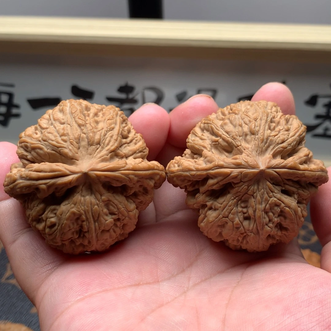 文玩核桃把件粗筋全品