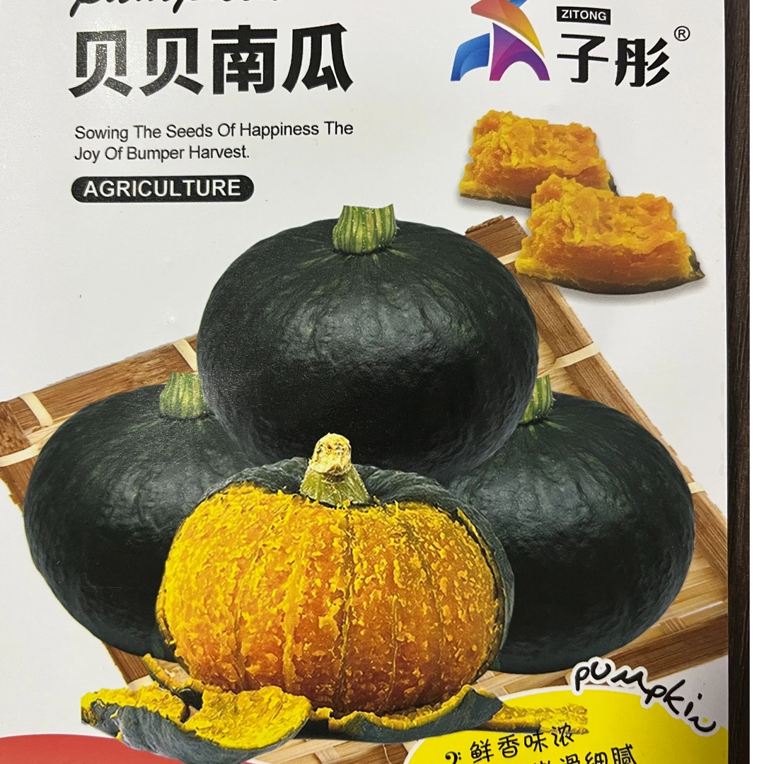 正宗高产贝贝南瓜种子早熟成活高品质佳抗病强肉厚甜而细腻易存储