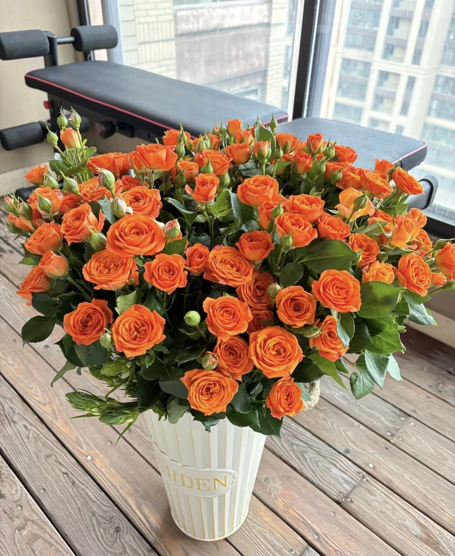 橙色芭比多头玫瑰新鲜鲜花花束云南鲜花基地直发