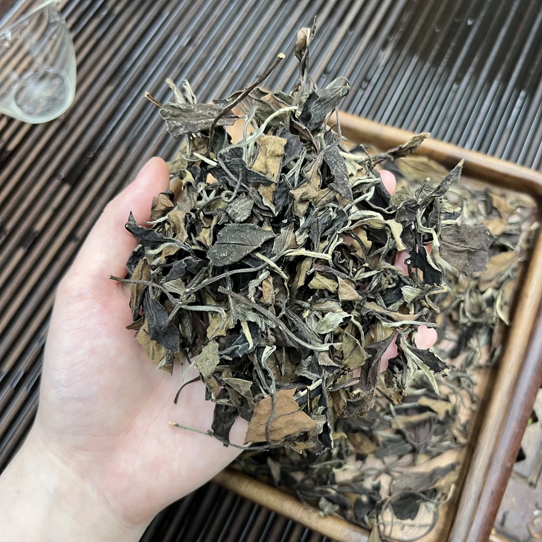 2008福鼎白茶老贡眉 ① 小鹿收茶 白茶 传统工艺 5月29