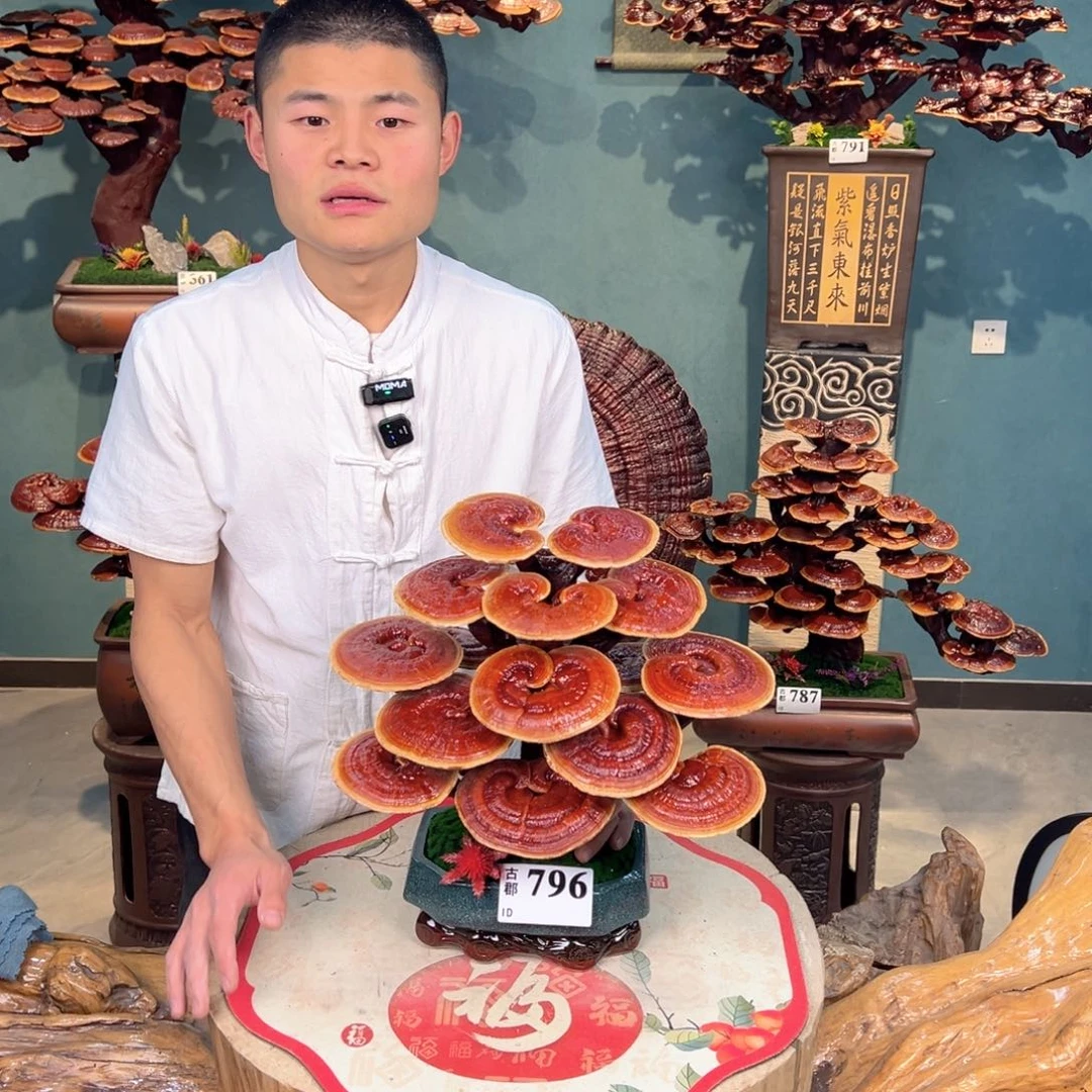 无花朵8888888888888