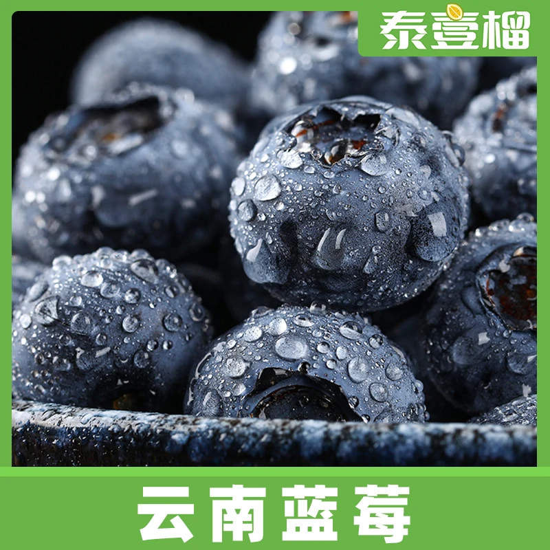 【顺丰空运】云南高山蓝莓新鲜蓝莓甜果粒125g/盒