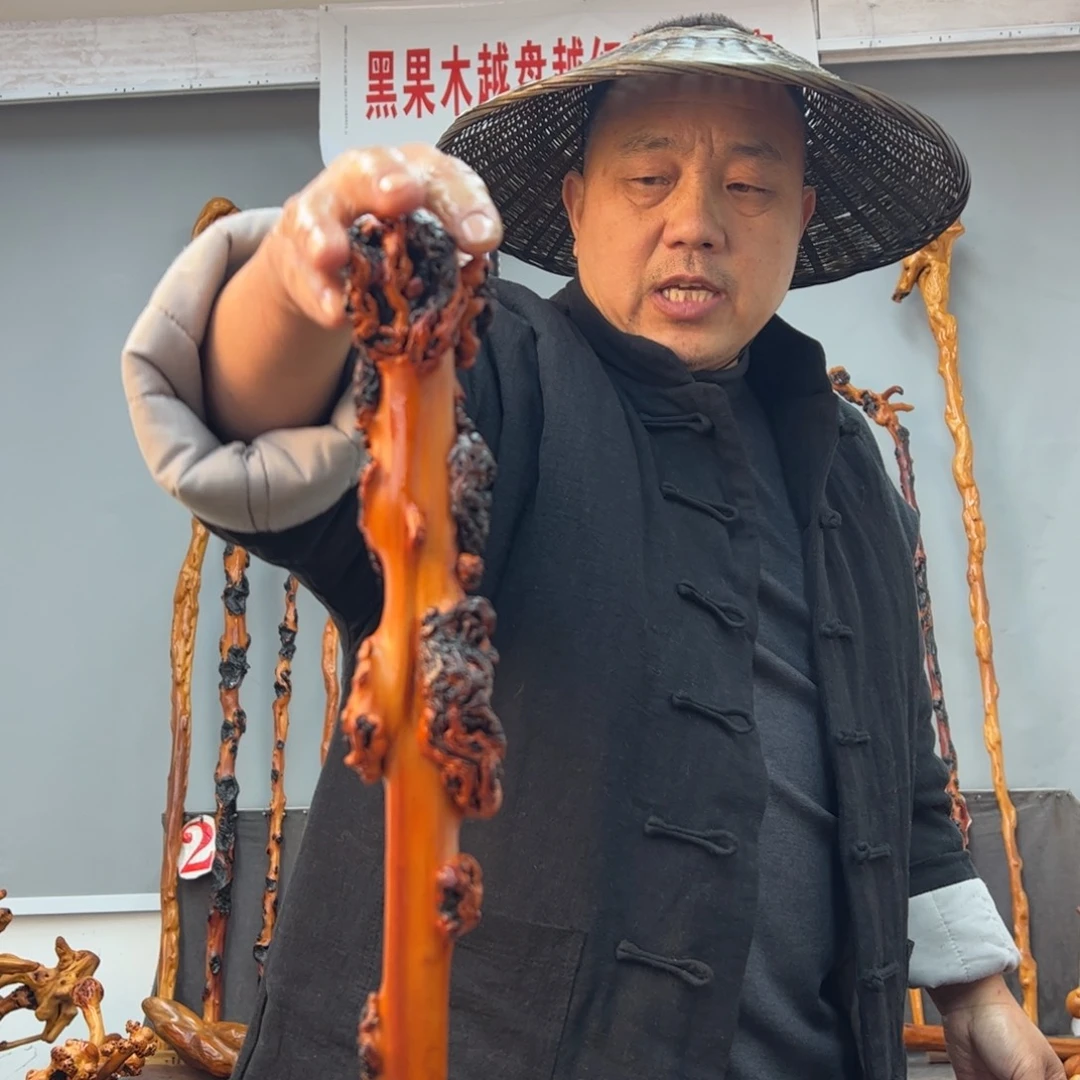 黑果木其他黑果木267