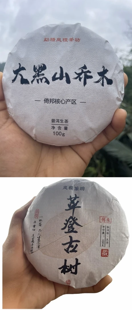 2025年头春倚邦大黑山乔木饼茶+革登古树二春饼茶