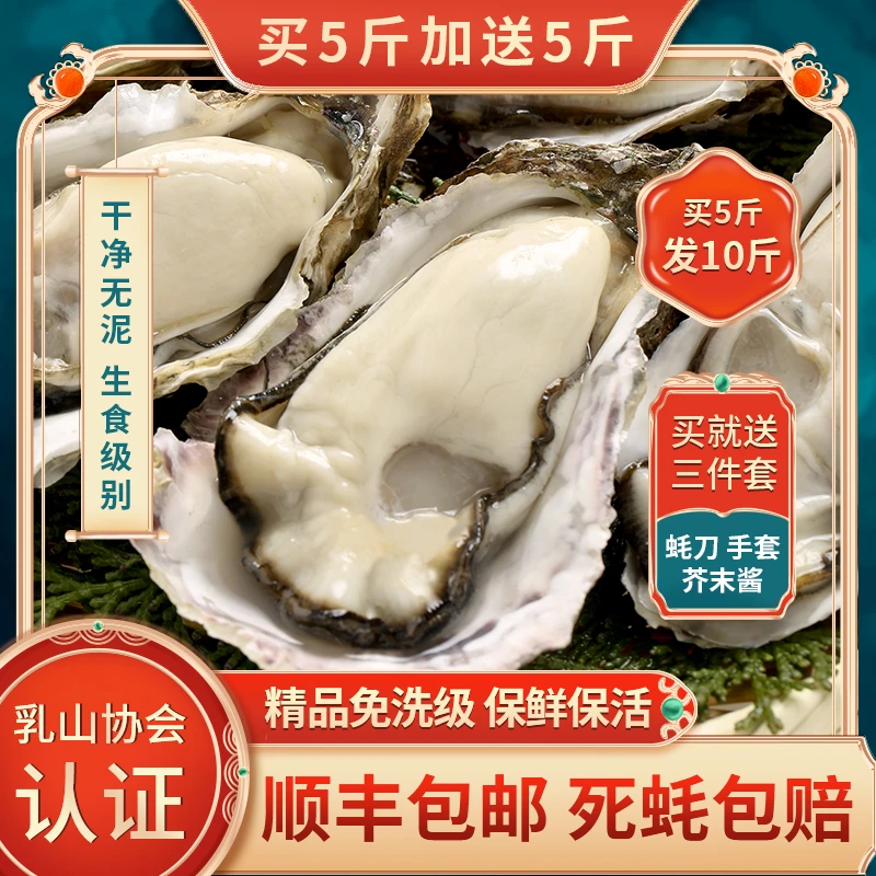【买5斤送5斤】正宗精洗乳山生蚝鲜活顺丰10斤烧烤海蛎子牡蛎原产地