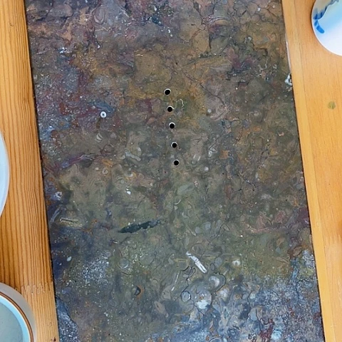 茶盘果盘 咖啡盘 化石角石 菊石