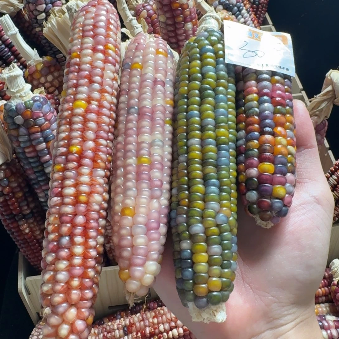 ****羊吊坠柏香籽/百香籽