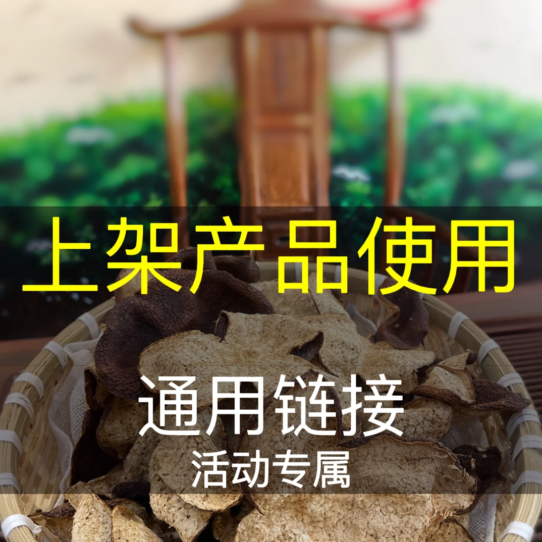 新会陈皮 2025东甲大青鲜果 现摘
