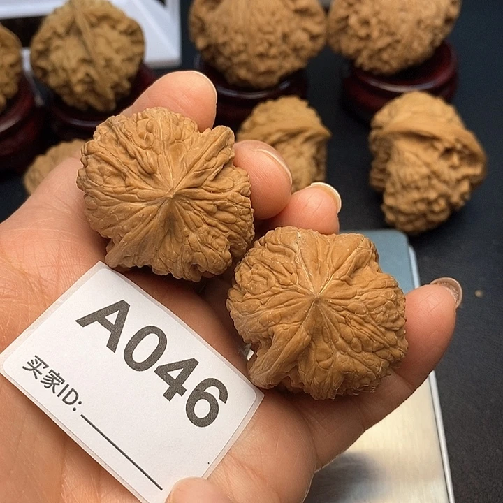 核桃凹底3.8，0000