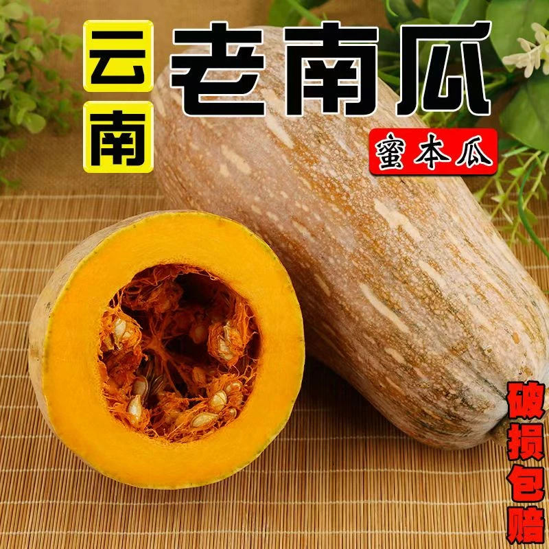 云南新鲜密本老南瓜甜糯可口适合孕妇宝宝辅食