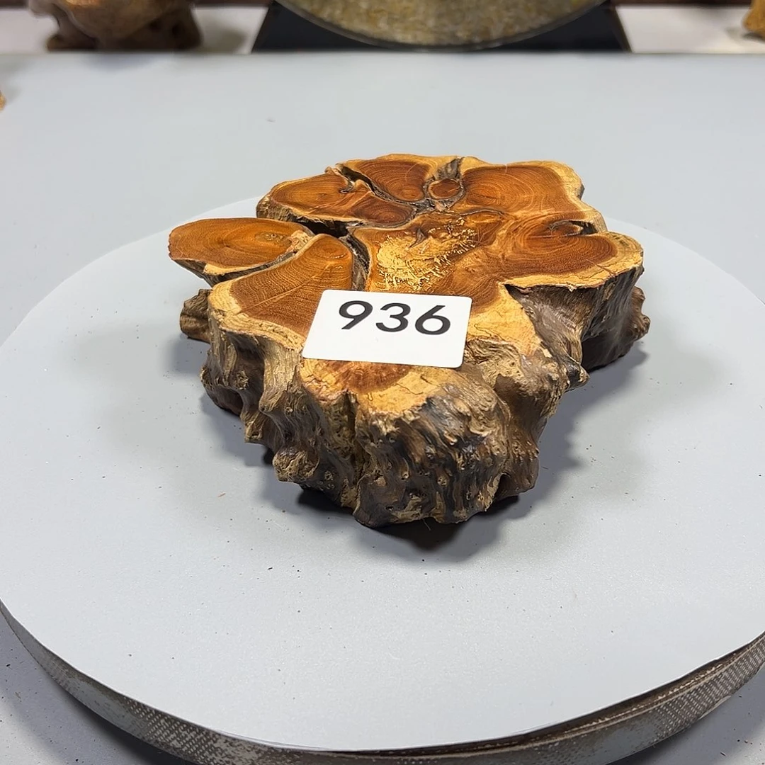 大果紫檀（缅甸花梨）用****2