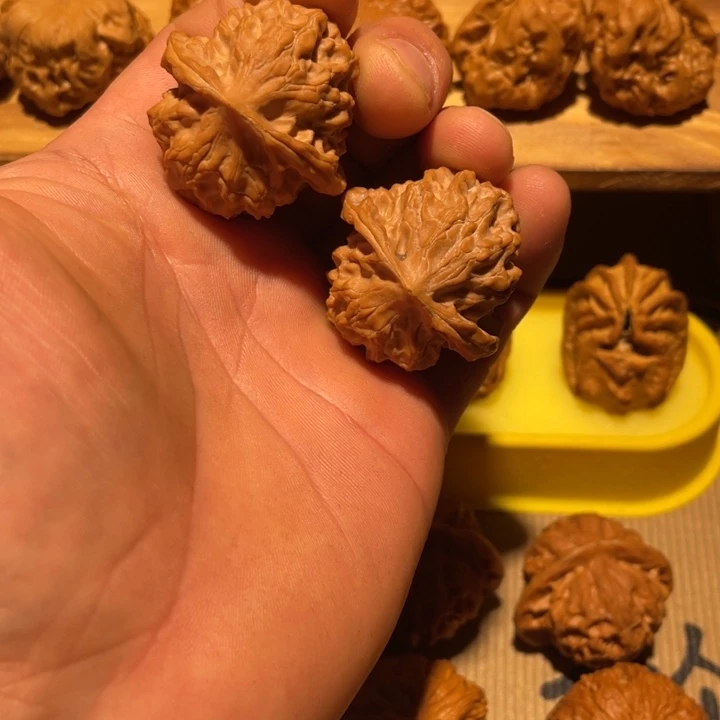 核桃37玲珑元宝。。。。。