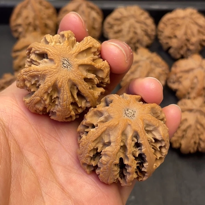 吊坠文玩核桃突突突突突突突突突突突