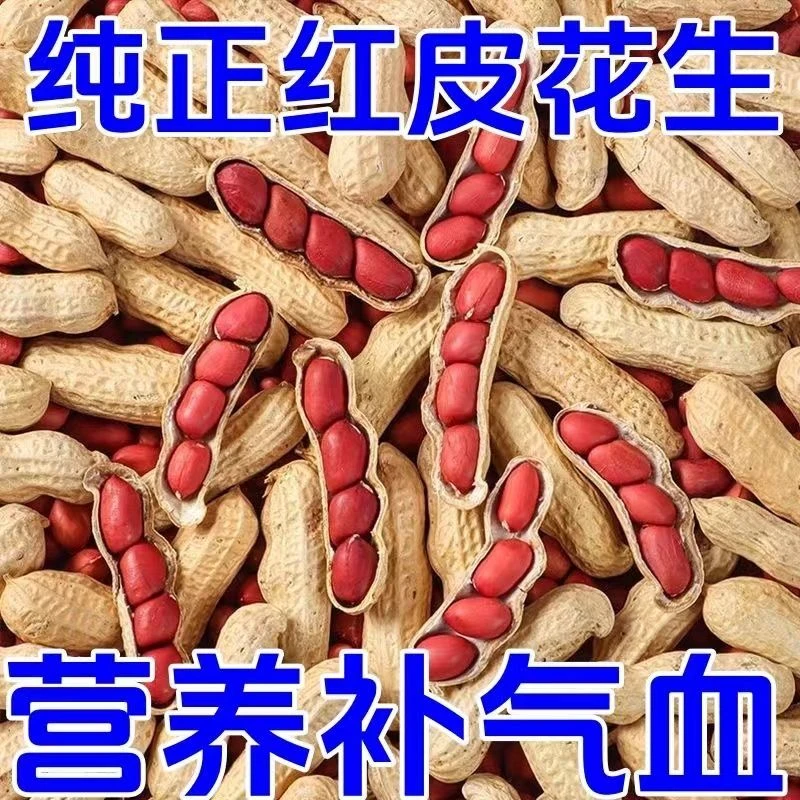 新红皮花生2024年带壳生红皮花生 农家自种新鲜自然晒干