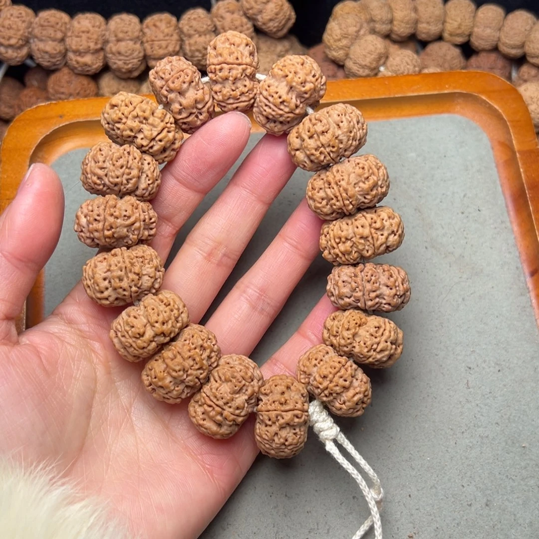 菩提16号金刚菩提六瓣夹板25