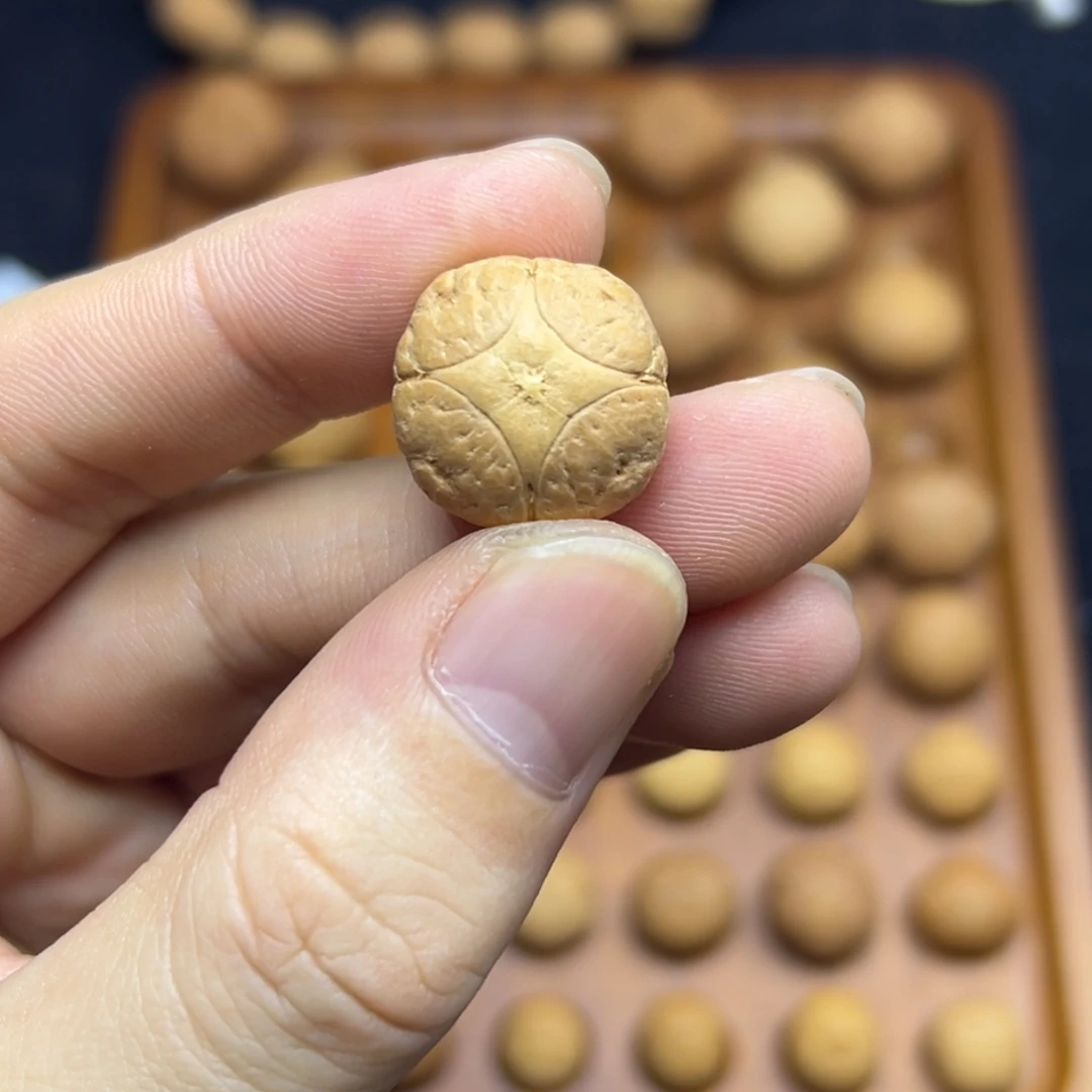 凤眼菩提手串19.2麒麟眼