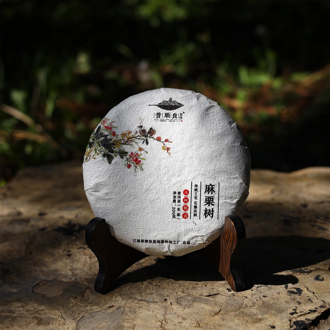 21年头春【大树生普｜麻栗树大寨·野放大树茶·云南普洱江城·普洱茶