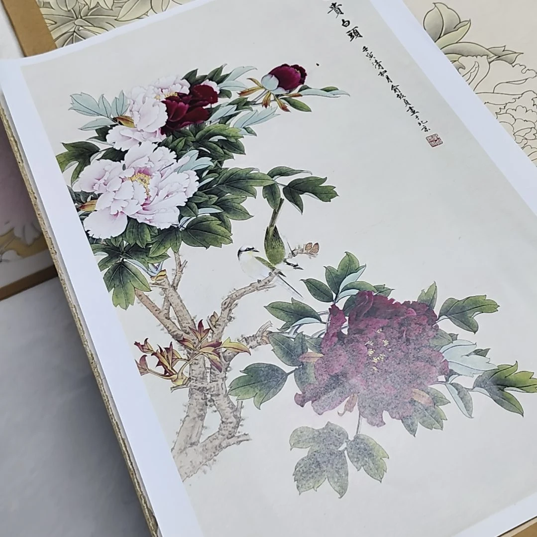 富贵白头白描底稿