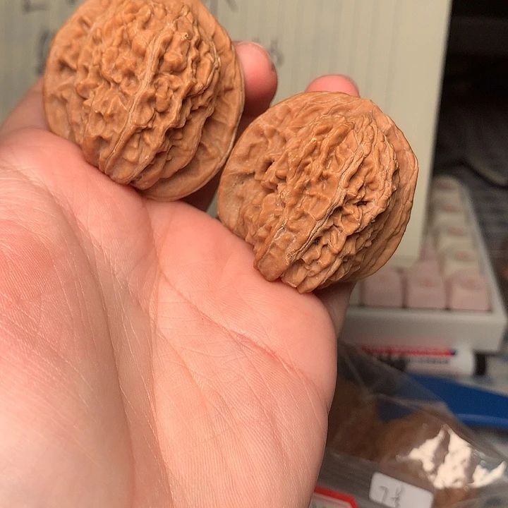 14号40尺寸四座楼反油