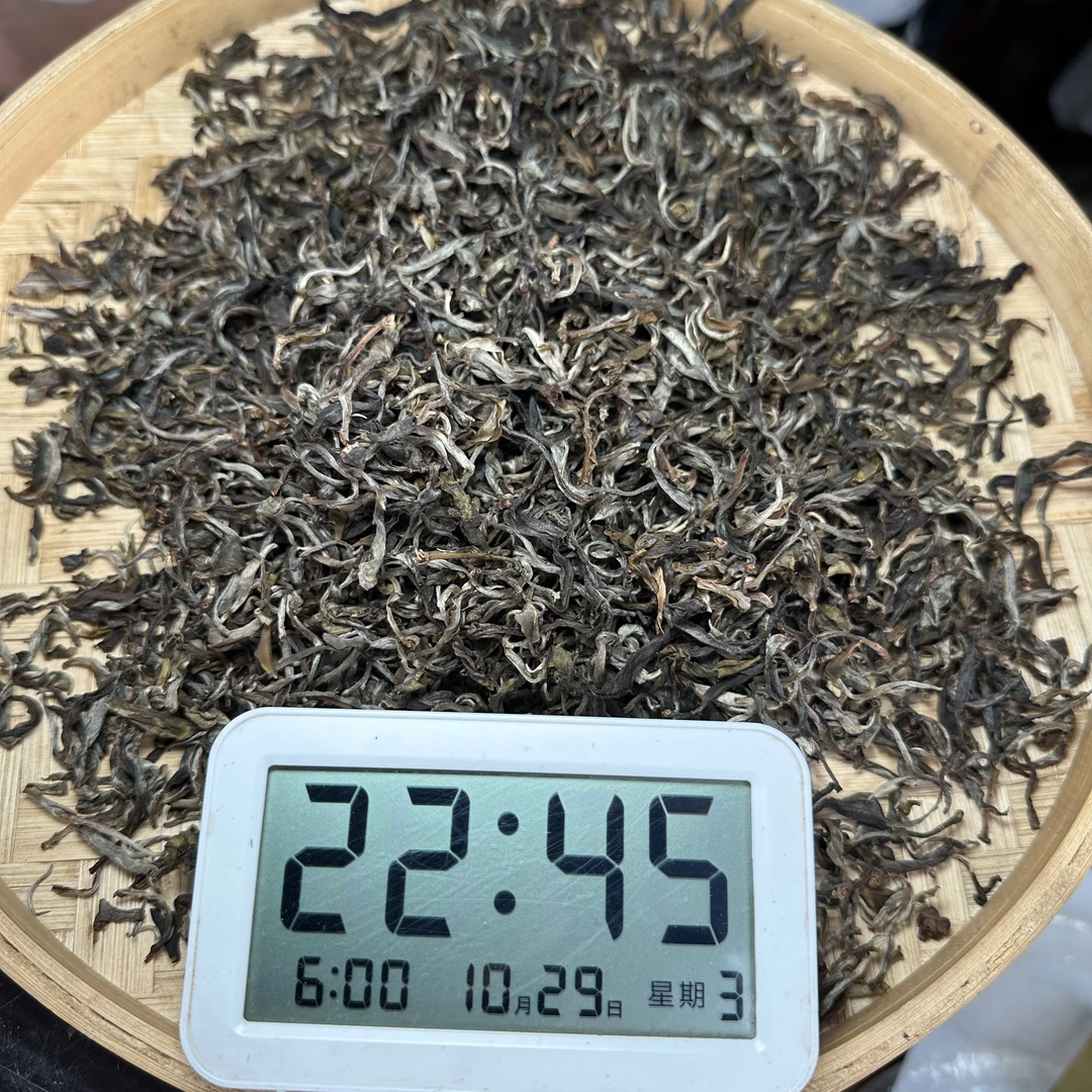 【号】2025年曼松背阴山古树生散茶（10月29号）C