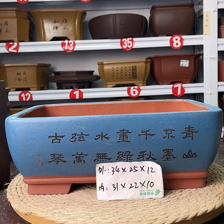 花盆紫砂你在一起