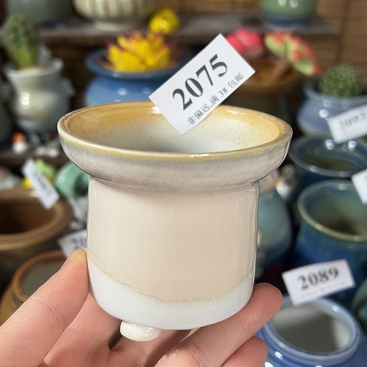 口7高6 ……开播福利