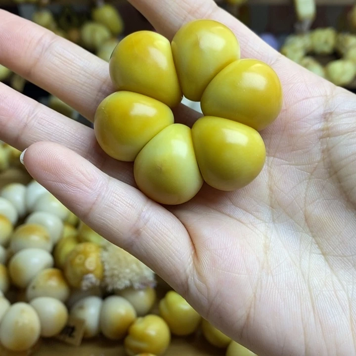 菩提根/象牙果吊坠微瑕