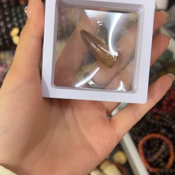 老***虎精品系列摩洛哥家居摆件