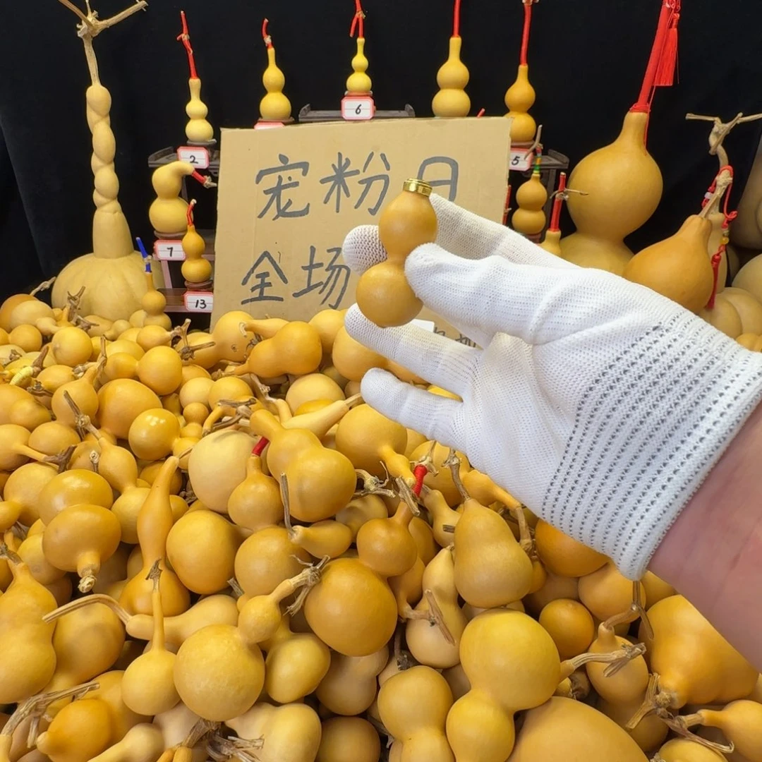 葫***猫啊啊可口可乐可口可乐