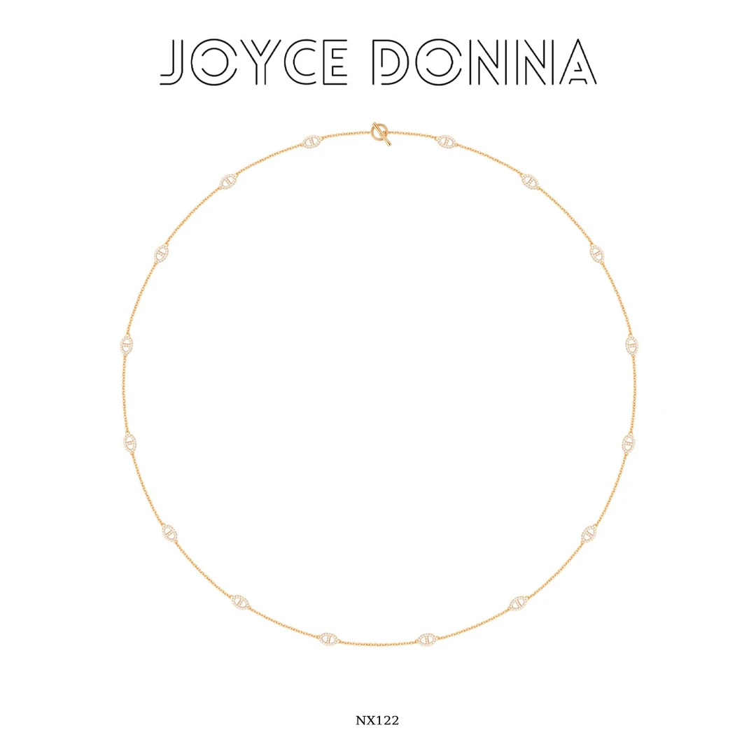 镀K金【月光手札】长款轻奢气质猪鼻子项链 NX122