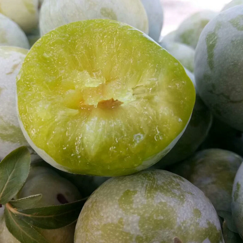 李子新鲜5斤包邮现摘奈李青脆李农家自种桃形李黄金奈李孕妇水果