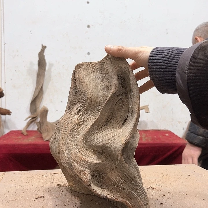 柏木虎**.我们都是好孩子呀我也