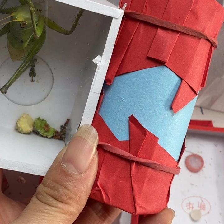 王***蟋蟀我在等着你回来