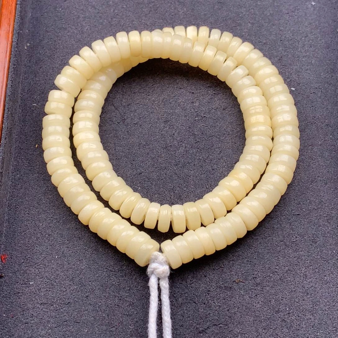 驼骨其他天天都在盘  8