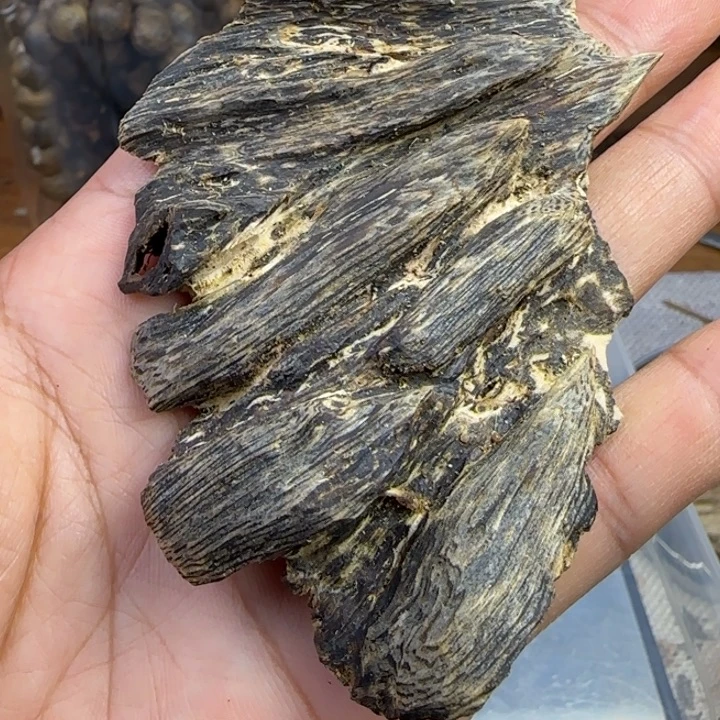 沉香沉香碎屑奇楠沉香虎斑奇原材料11g