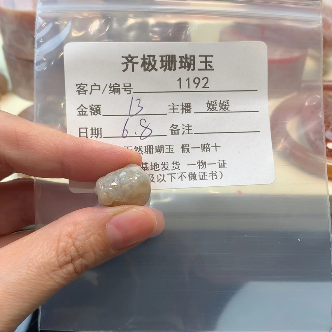 硅化珊瑚（珊瑚玉）未镶嵌颈饰安****问