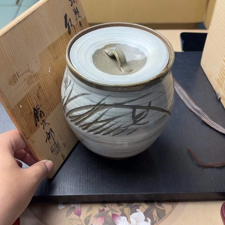 摆件1544今日好物分享今日