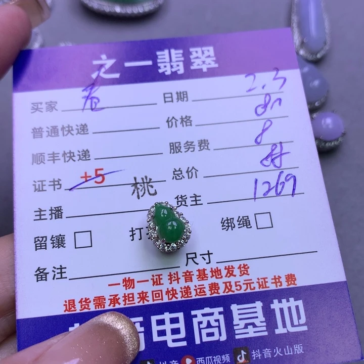 翡翠颈饰银S925镶嵌春*