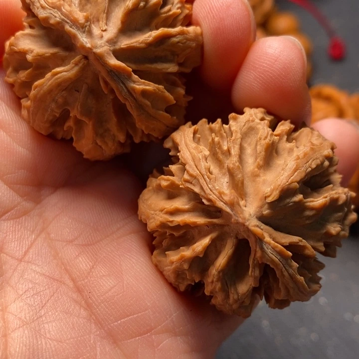 秦岭野生文玩核桃