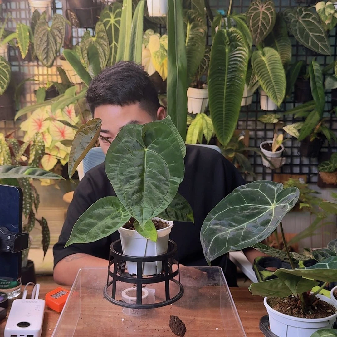 糊****完全开放一物一拍M121