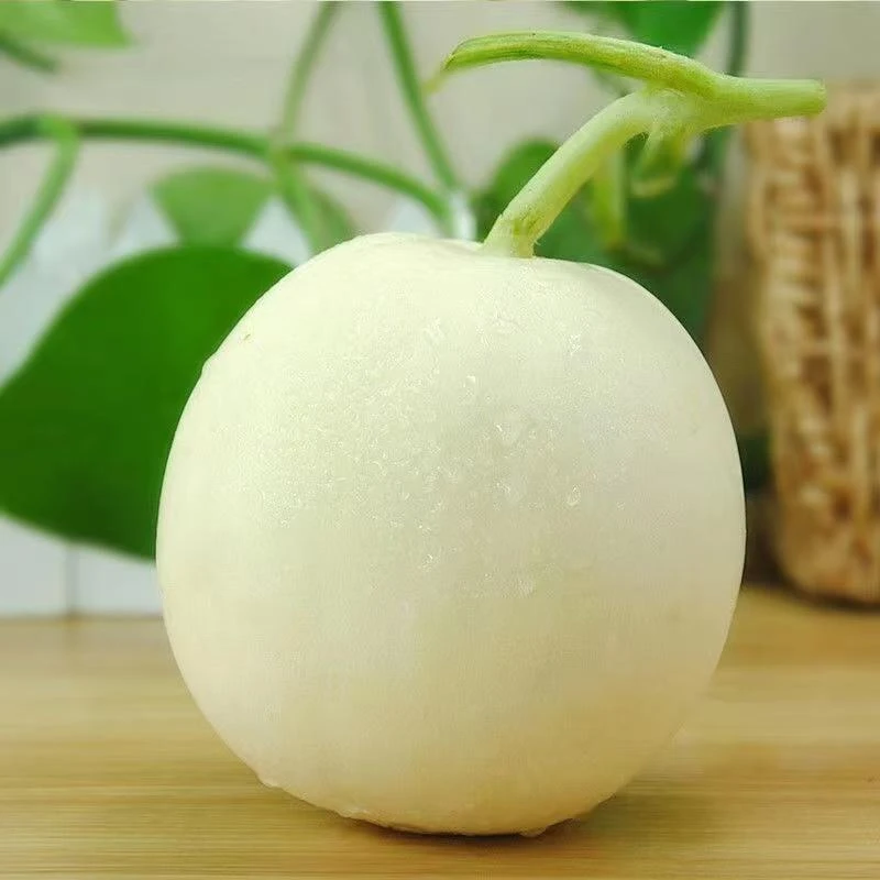 内蒙古五原县甜红玉蜜瓜软糯香甜