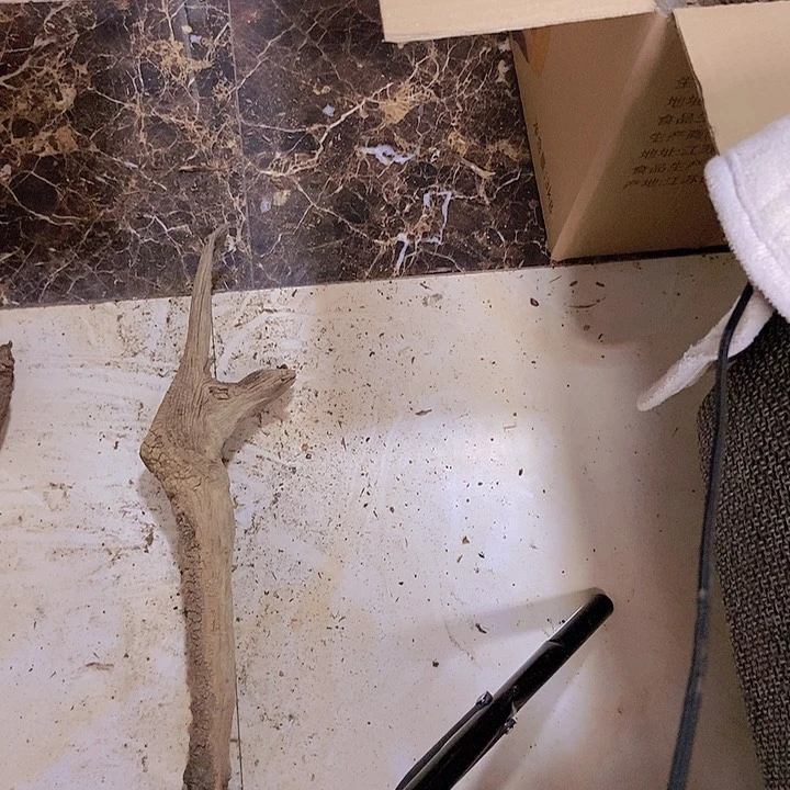 柏木咸*^陈化到位坨坨疙瘩
